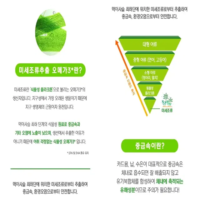 [1개월]영진약품 혈행건강 초임계 알티지 식물성 오메가3 비건인증30캅셀