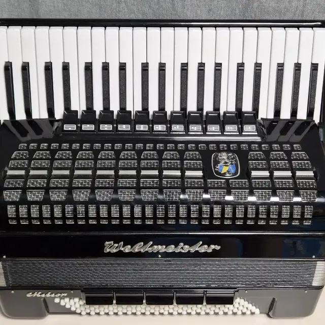 아코디언 Accordion WeltmeisterMeteor 120bass