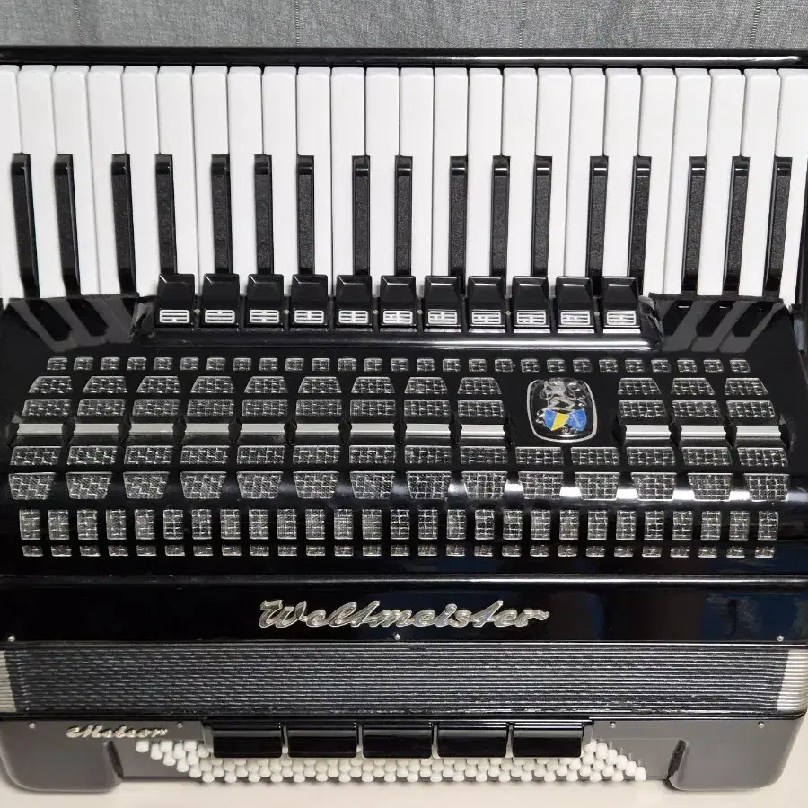 아코디언 Accordion WeltmeisterMeteor 120bass