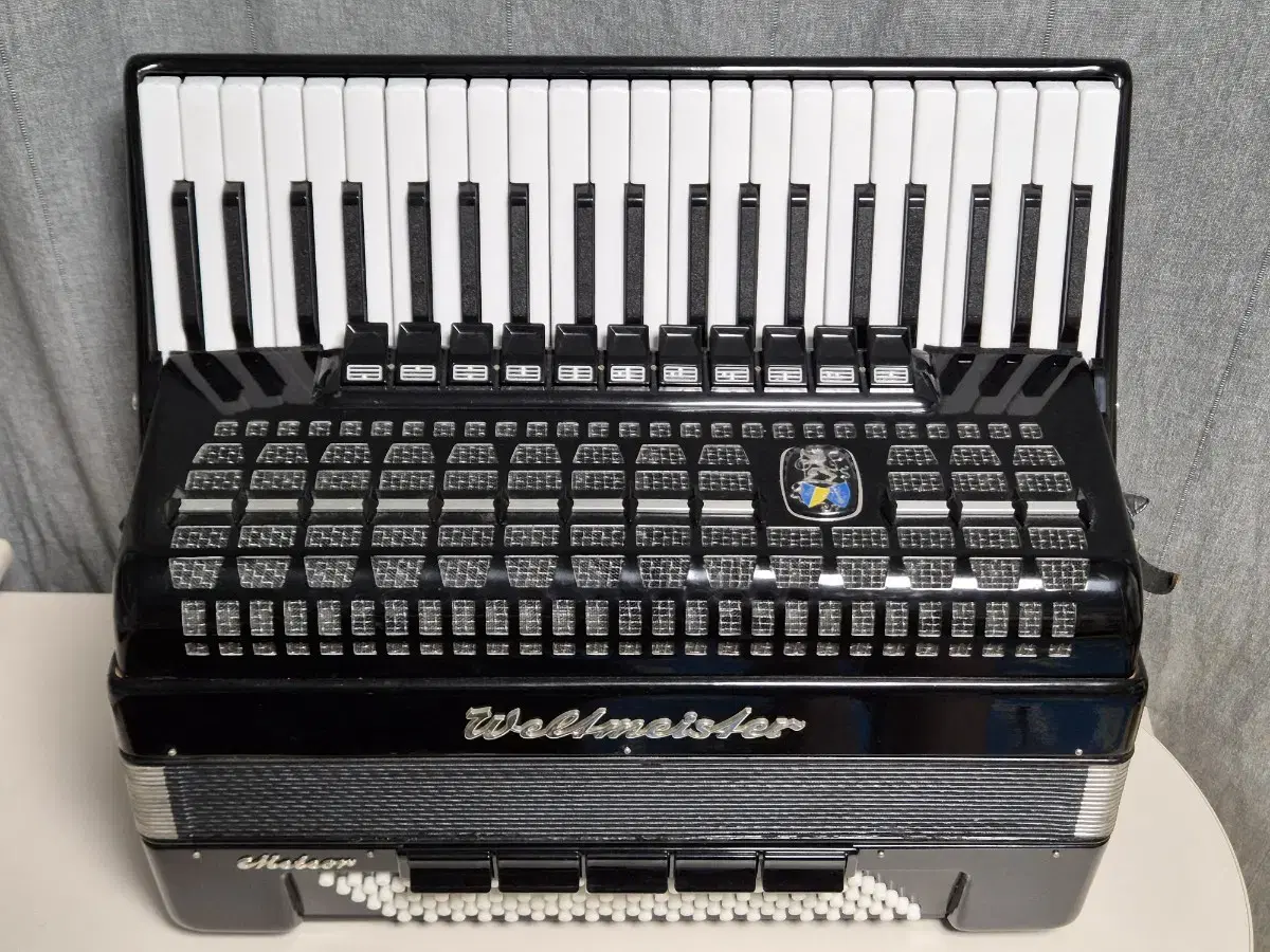 아코디언 Accordion WeltmeisterMeteor 120bass