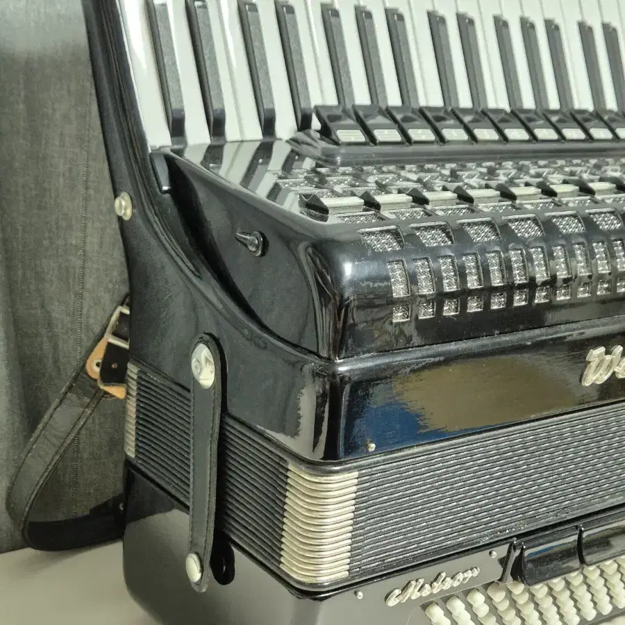 아코디언 Accordion WeltmeisterMeteor 120bass