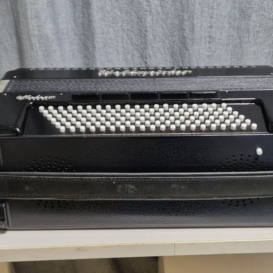 아코디언 Accordion WeltmeisterMeteor 120bass