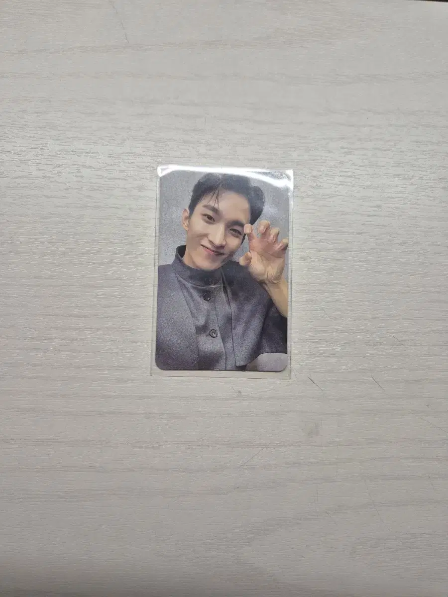 *source*seventeenfeathersundogs photocard