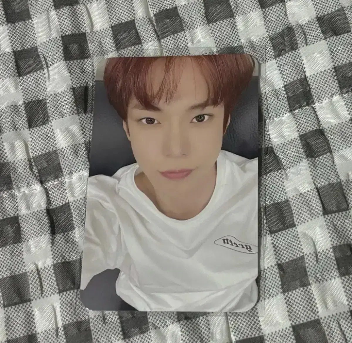 NCT 127 doyoung Payborg mumoshop photocard WTS