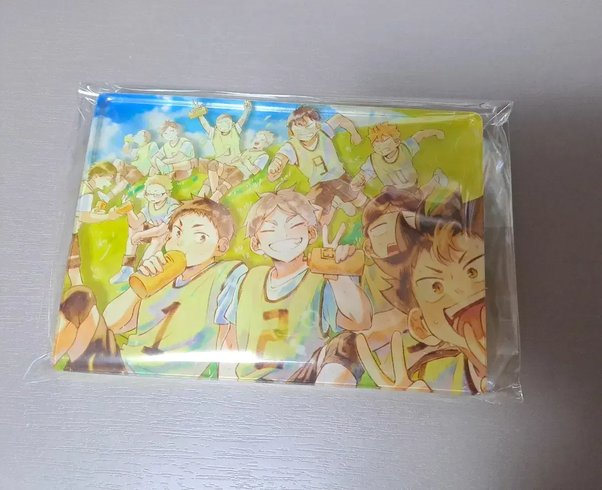 Haikyuu Dahabit-nim Karasuno Stereoscopic acrylic Koroto Great Sports Festival unofficial goods WTS