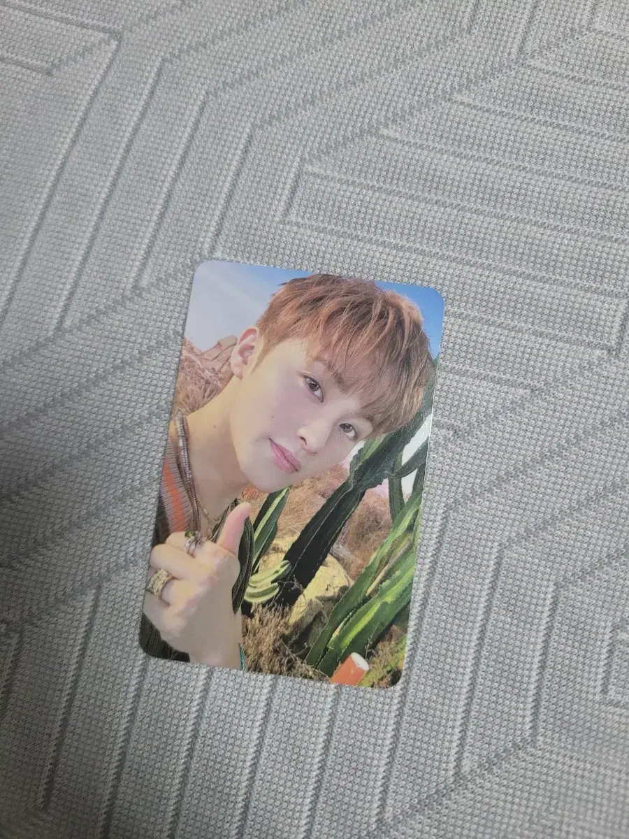 Mark Piggduck Work Edition Photocard