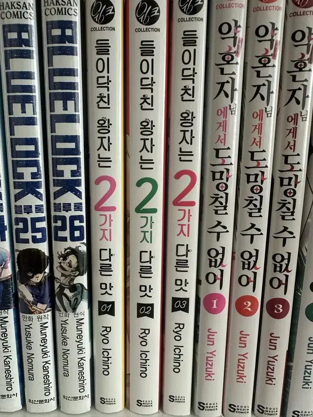 들이닥친 왕자님은 2가지 다른맛1-3