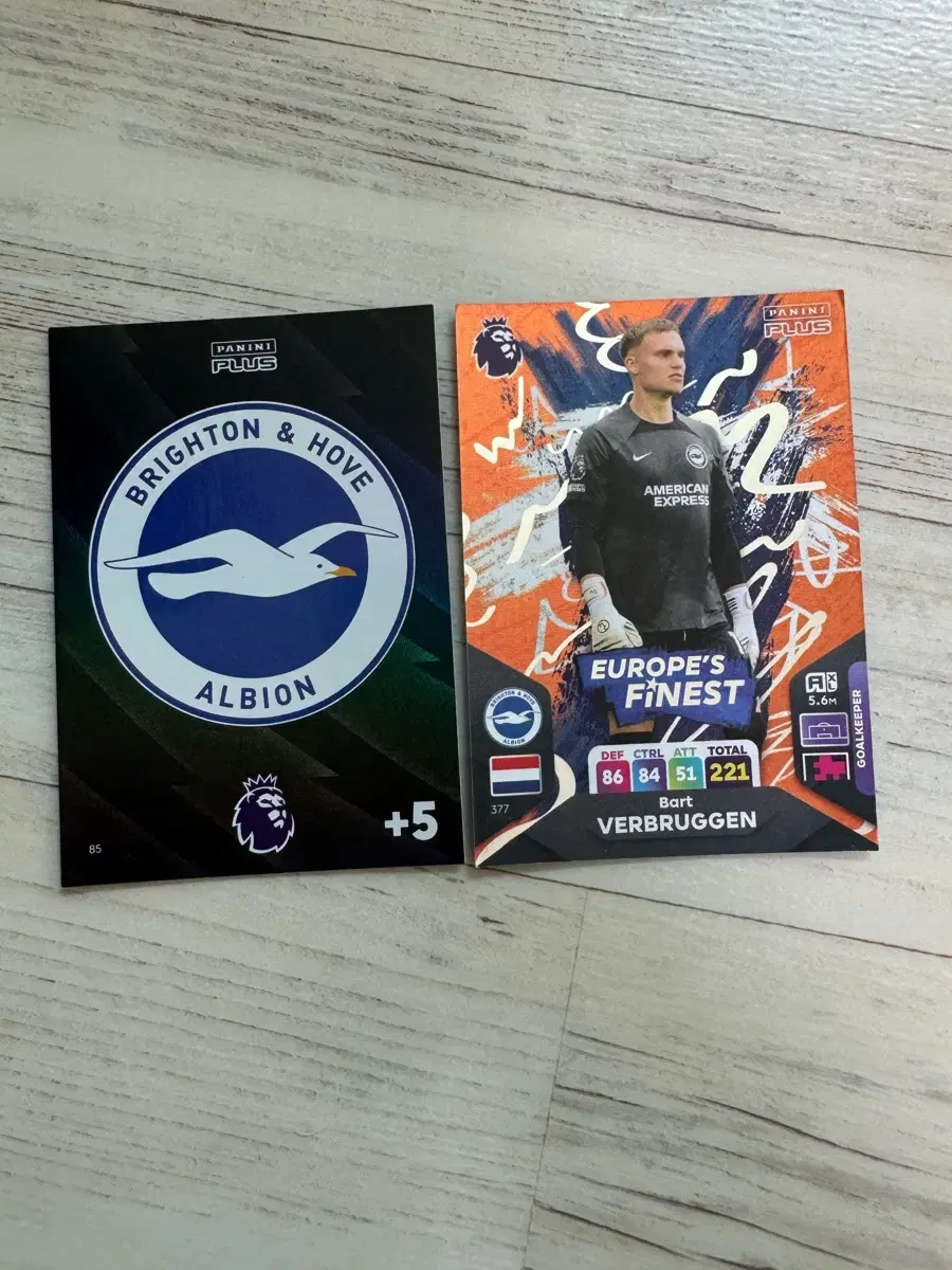 Brighton & Hove Albion Panini Plus Decapitation Card EPL Card