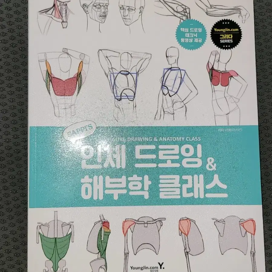 새삐의 인체드로잉 해부학 클래스 책 팝니다.