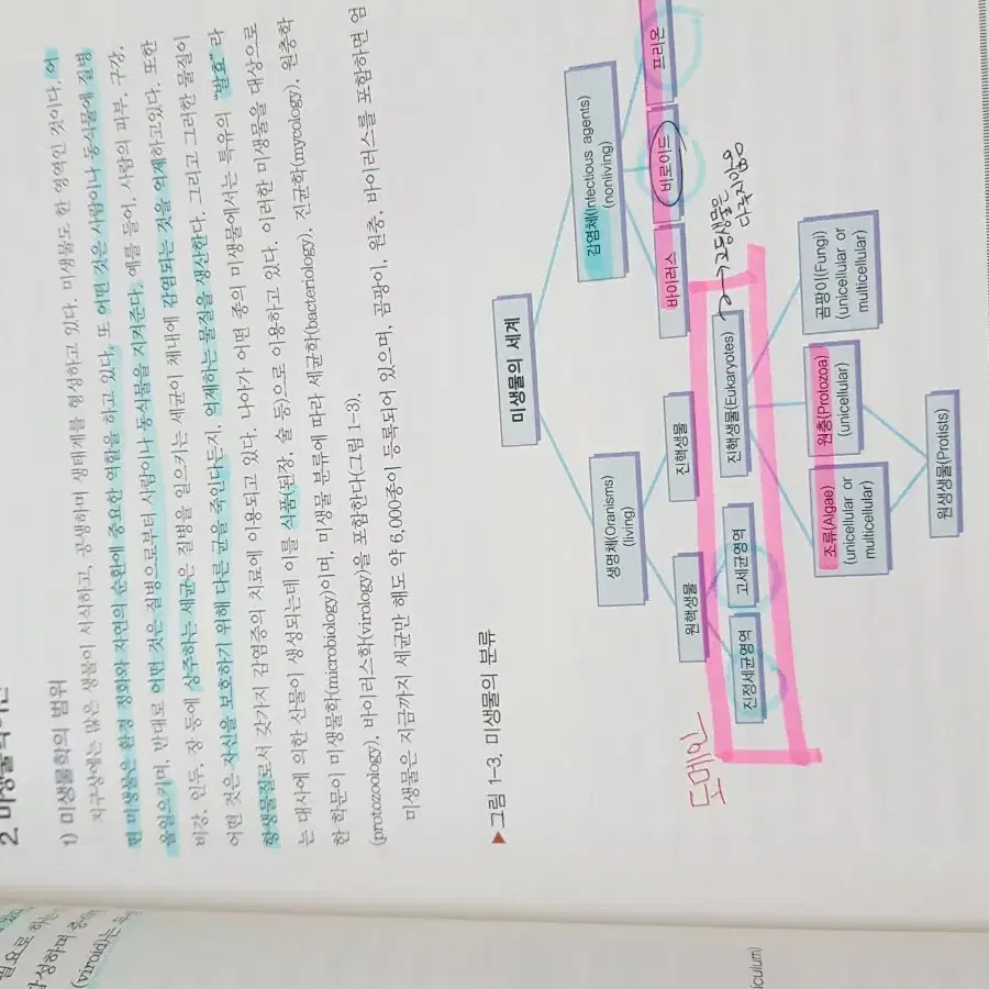 병원감염과 감염관리 간호미생물학 보건에듀 성인화