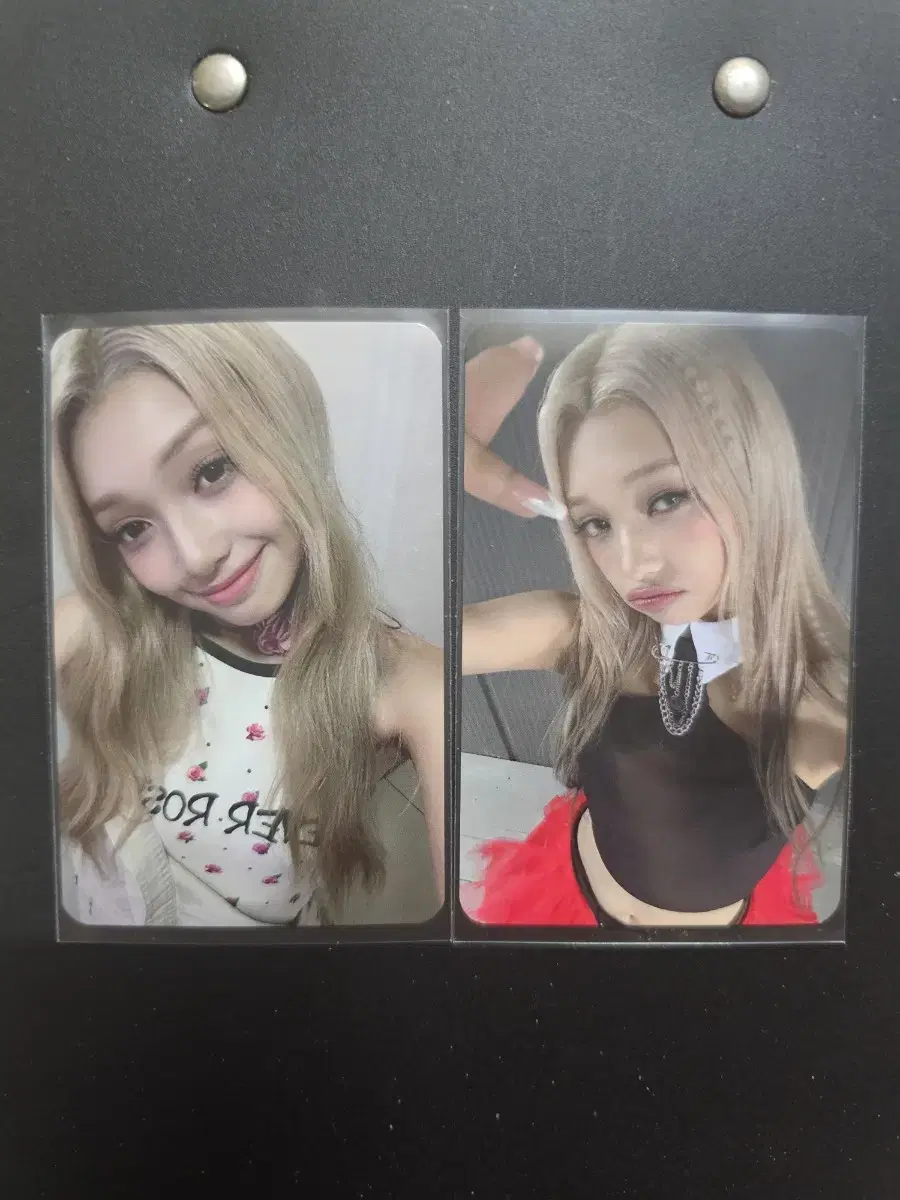 eunice broadcast photocard jelidanka bulk wts