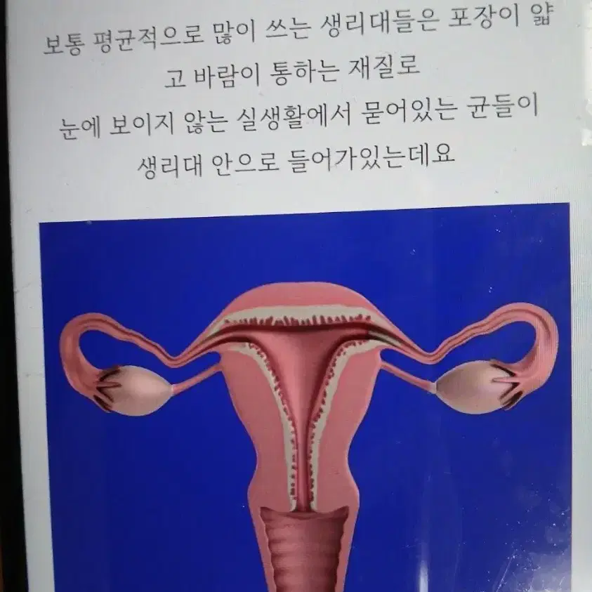 천연생대