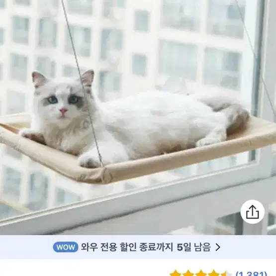 고양이 해먹 (반려동물)