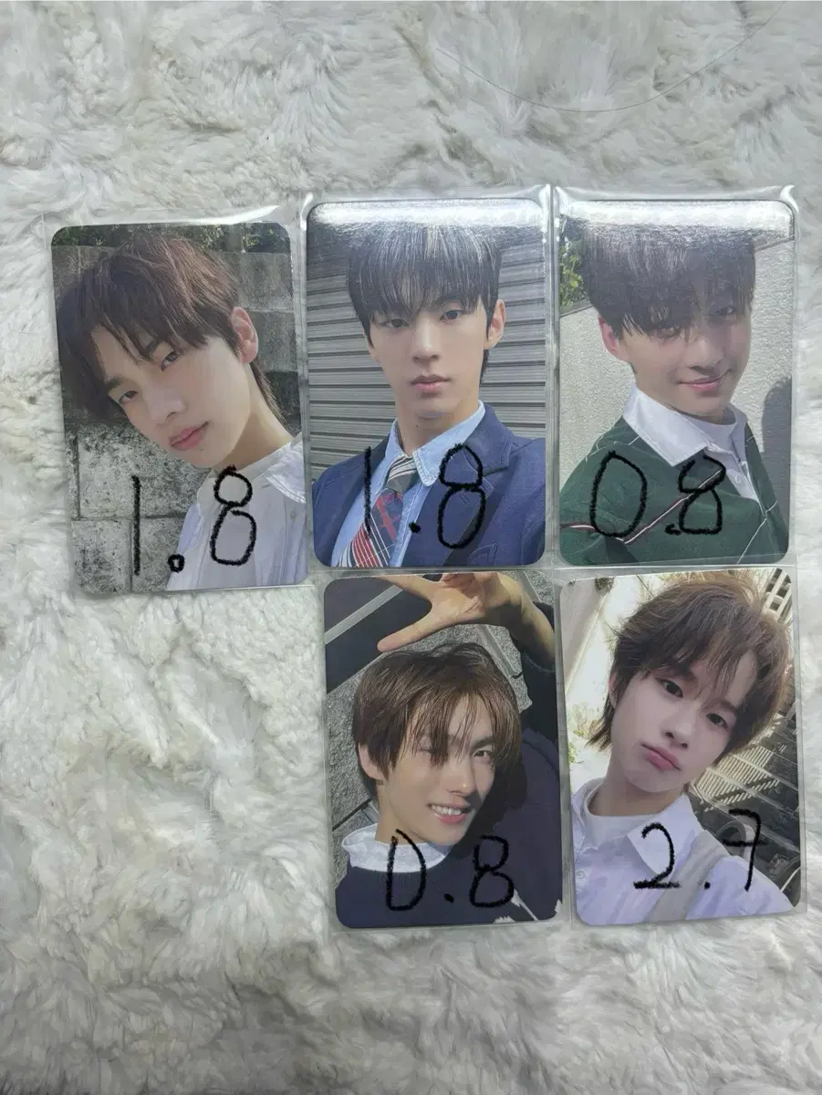 TWS Who's Who photocard wts