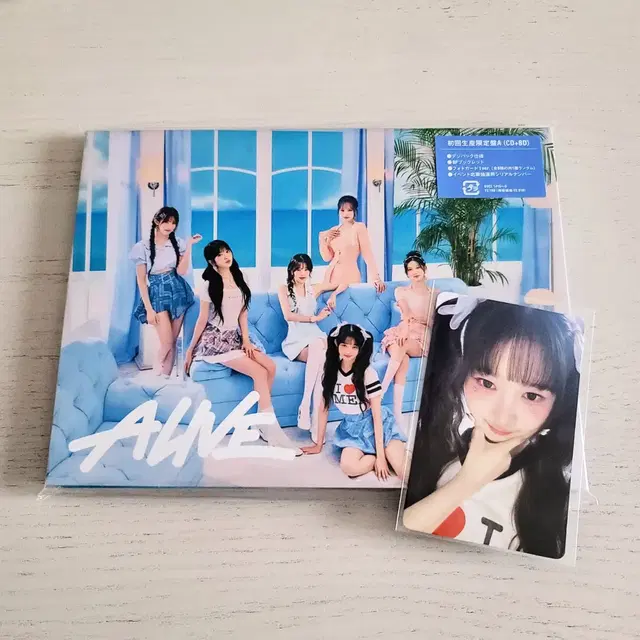 아이브 레이 얼라이브ALIVE 일본앨범포카 타레특전 hmv CD숍분철