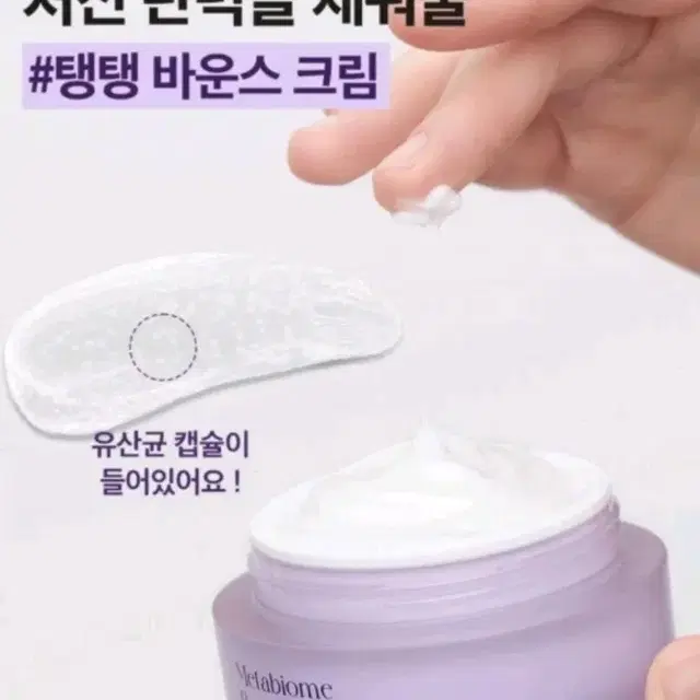 반택포) 퓨리피아 메타바이옴 바운스 크림 50ml 유산균 캡슐 탄력 크림