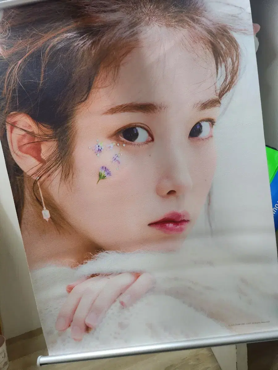 IU Roll Poster (A)