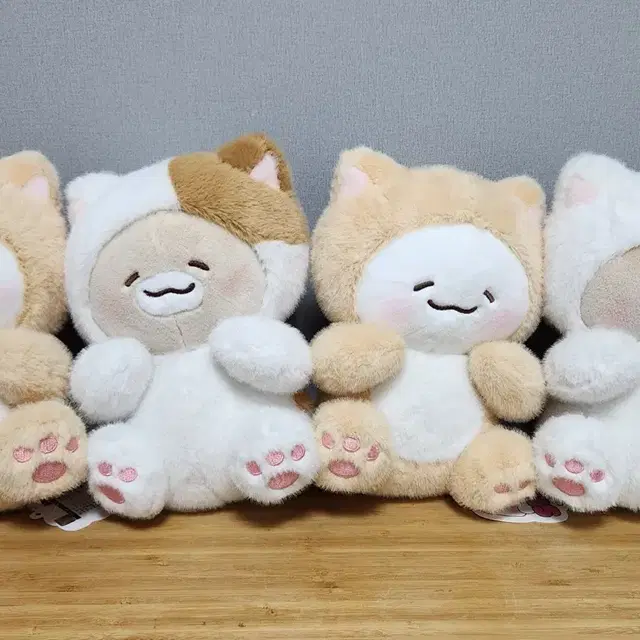 세트,일괄)고양이 옷 입은 슈야토야 set