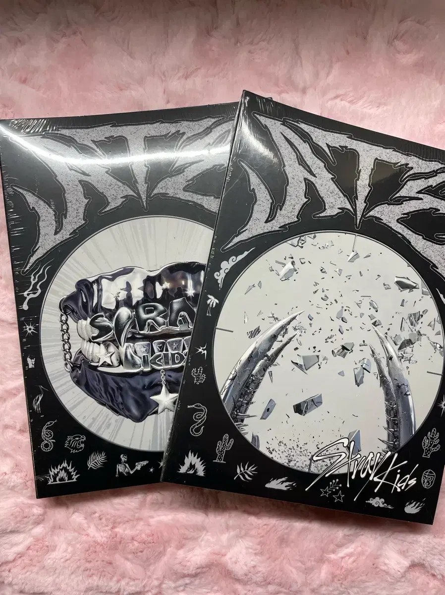 Skz sealed album ATE in bulk