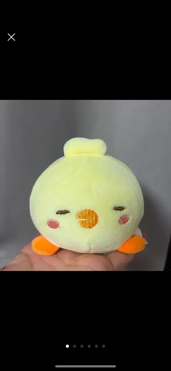 Yellow Chick Squishy Doll