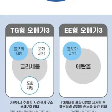 미국직수입 밀크씨슬 간영양제 800mlx60캡슐 2개월분