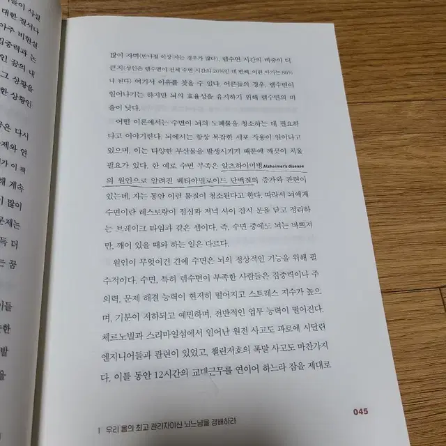 엄청나게 똑똑하고 아주 가끔 엉뚱한 뇌 이야기