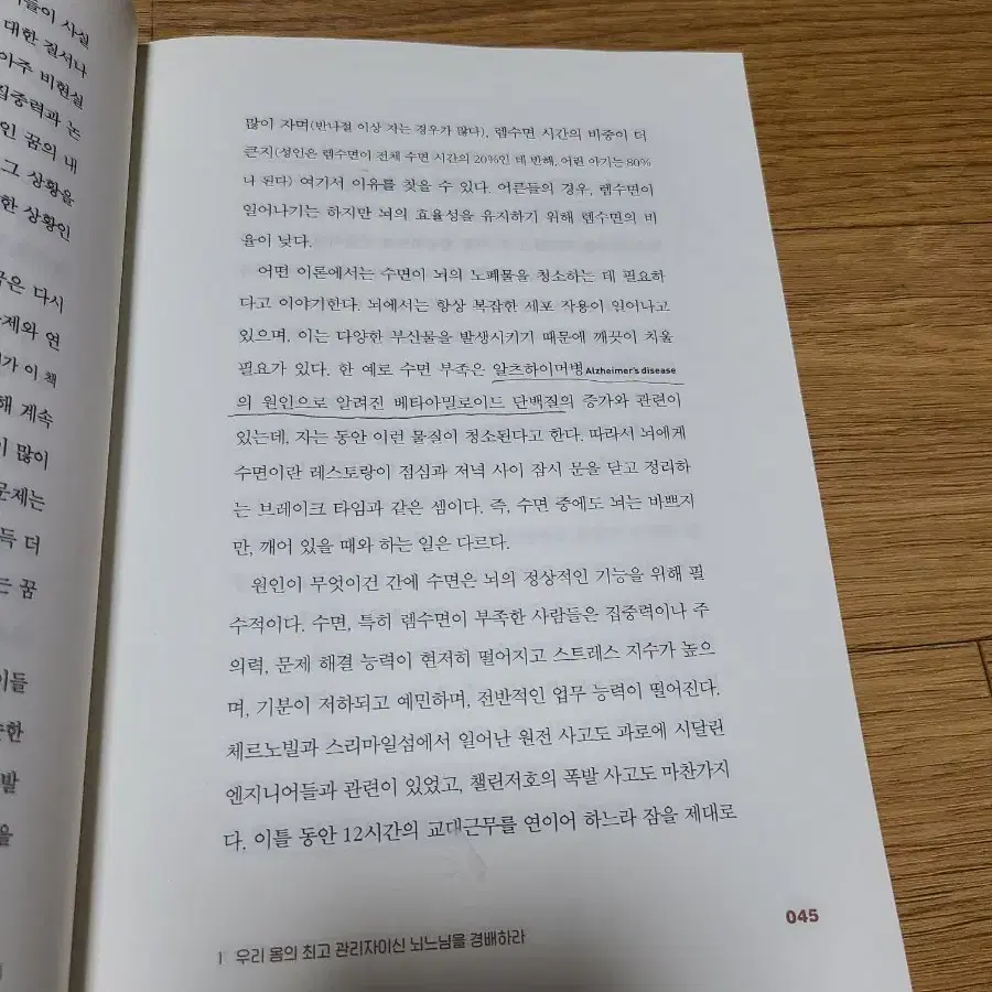 엄청나게 똑똑하고 아주 가끔 엉뚱한 뇌 이야기