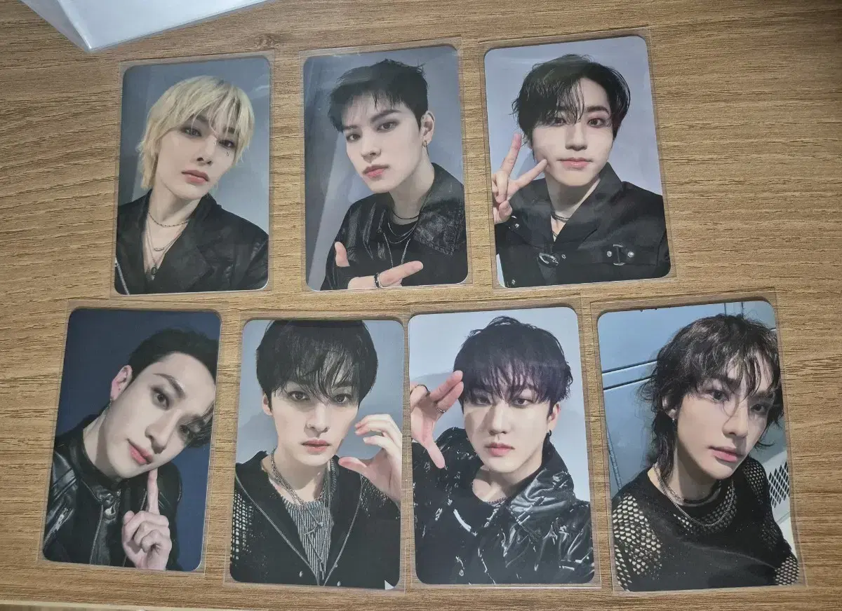 Straykids skz Concert domin ATE stayzone photocard wts 1 day