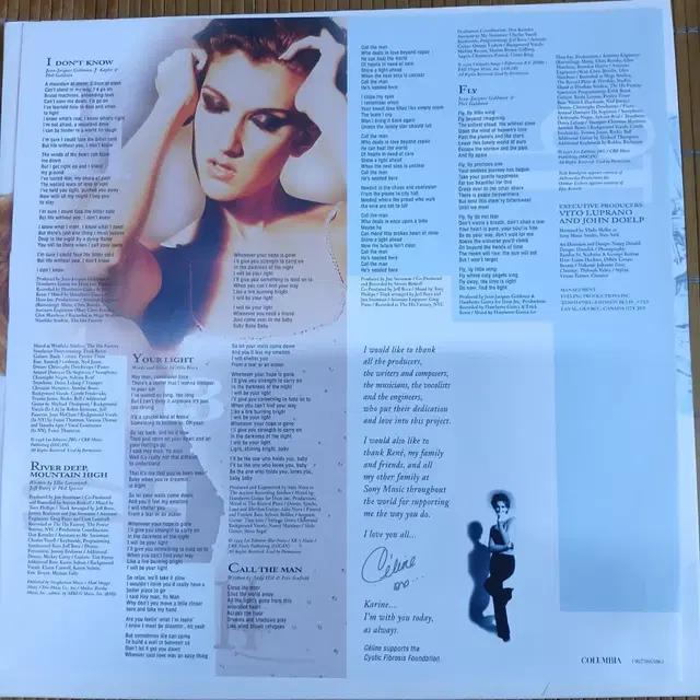 Lp중고 Celine Dion - FALLING INTO YOU 2LP