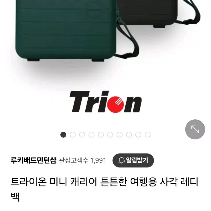 트라이온 미니캐리어백 기내용캐리어