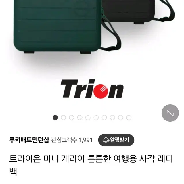 트라이온 미니캐리어백 기내용캐리어