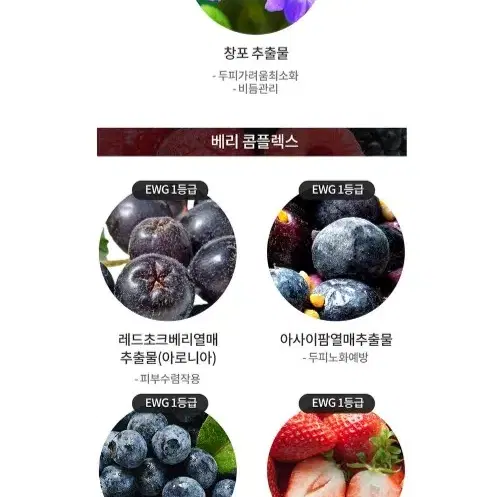 블뤼엔청담 딥 클렌징 기능성 스칼프 샴푸 500ml 탈모 예방 샴푸 대