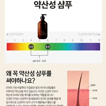 블뤼엔청담 딥 클렌징 기능성 스칼프 샴푸 500ml 탈모 예방 샴푸 대