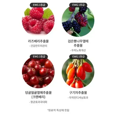 블뤼엔청담 딥 클렌징 기능성 스칼프 샴푸 500ml 탈모 예방 샴푸 대