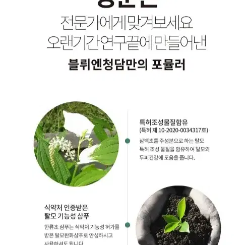 블뤼엔청담 딥 클렌징 기능성 스칼프 샴푸 500ml 탈모 예방 샴푸 대