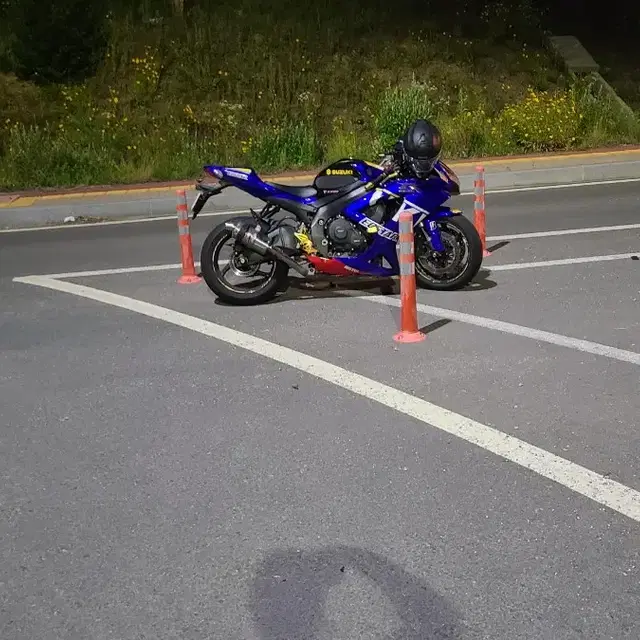 2010 suzuki gsxr600