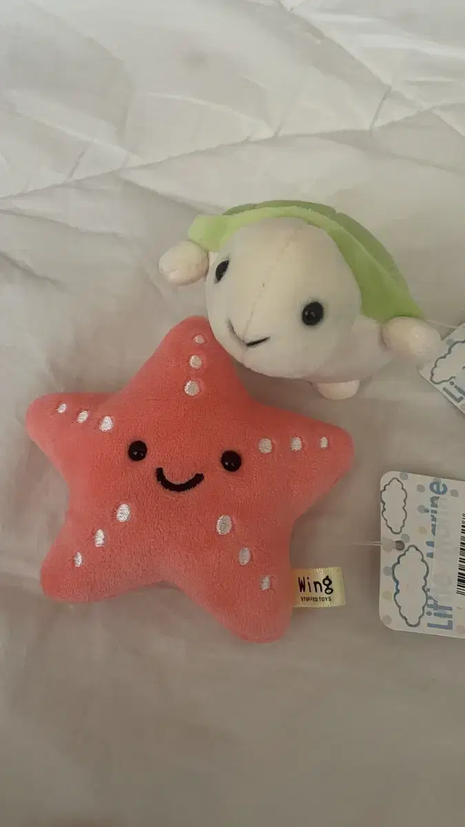 (Discount for today only)NCT 127 Haiyukan Kaiyukan mark Starfish Turtle Doll