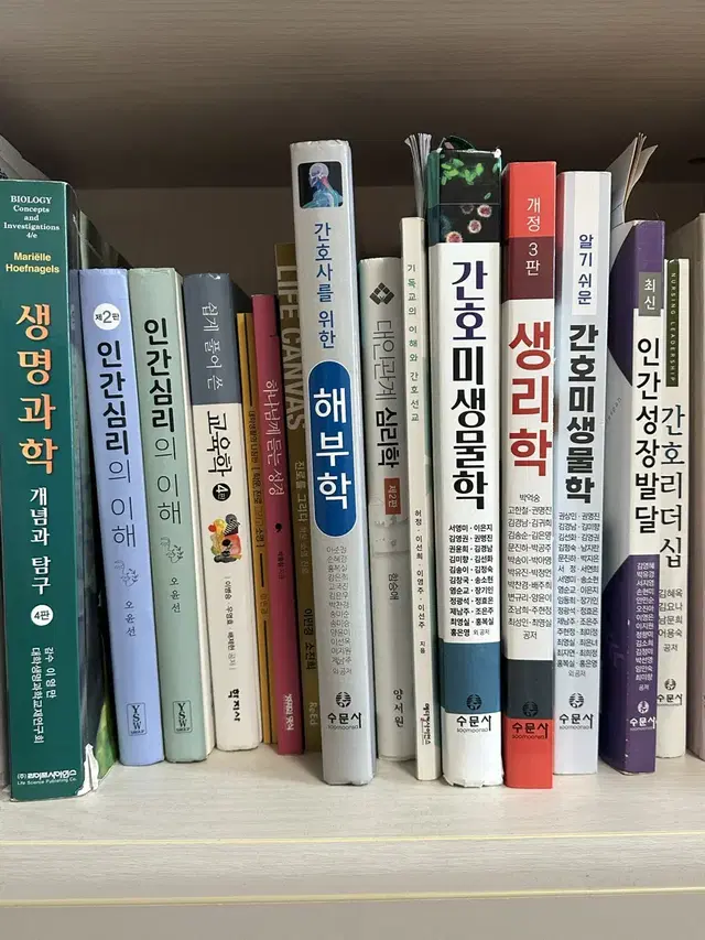 간호학과 전공책 판매