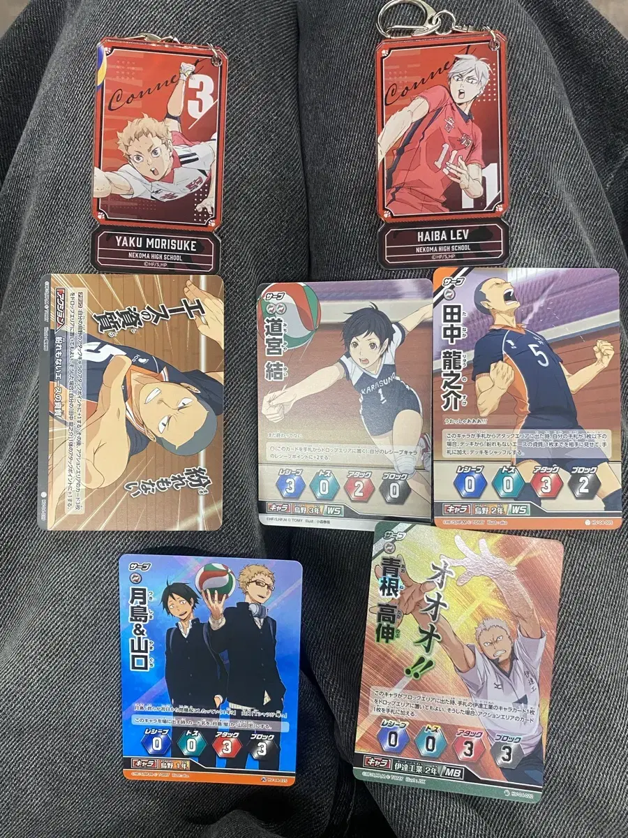 Haikyuu Keyring, Photo Card