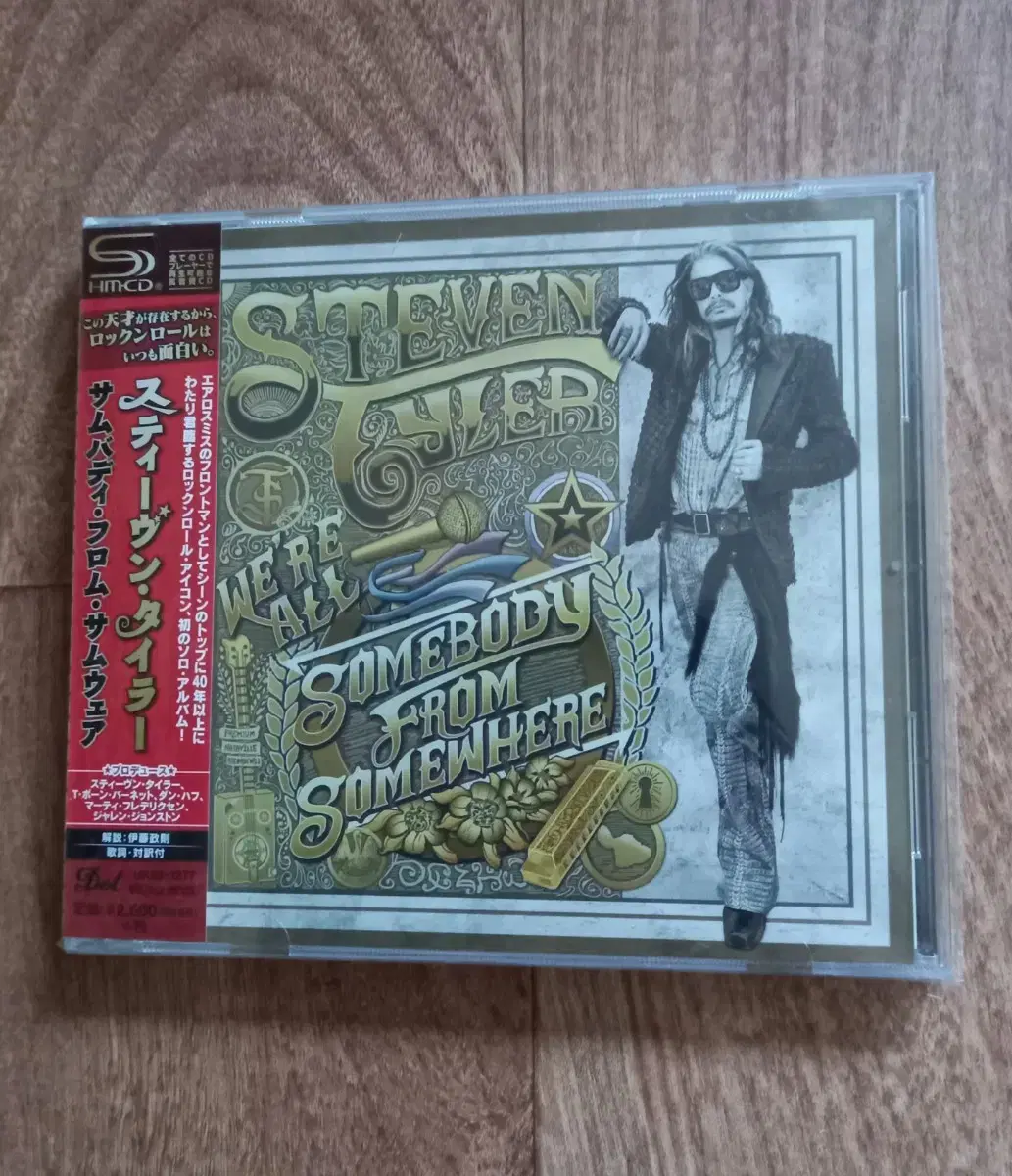 Steven Tyler Aerosmith cd 일본반 시디