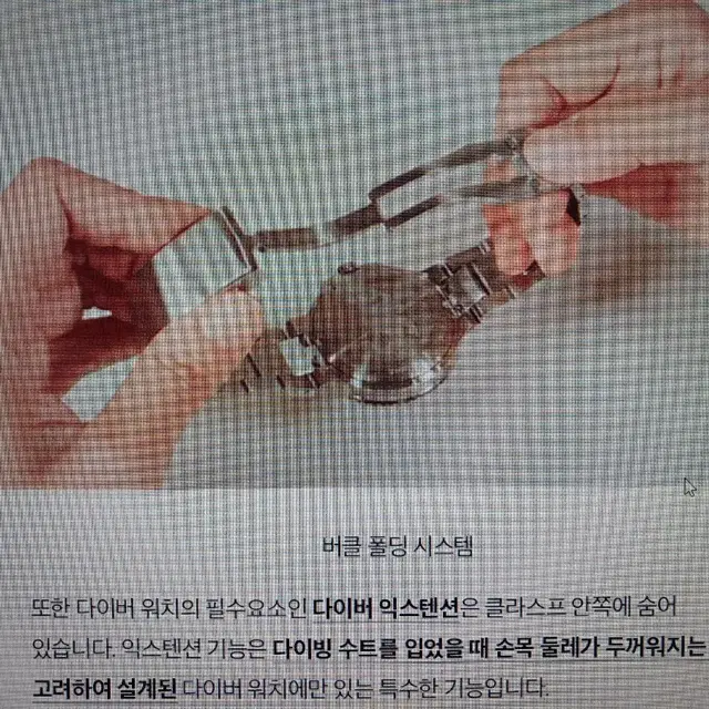 드워드 스피노다이버 남자메탈시계