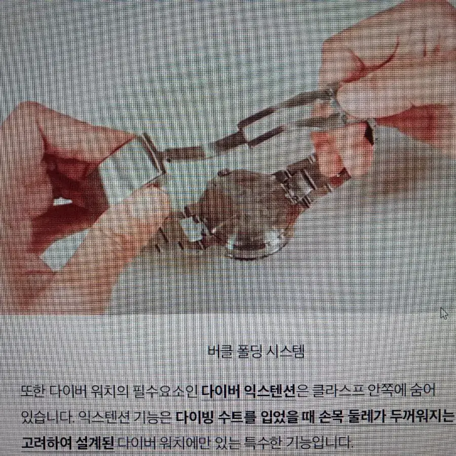 드워드 스피노다이버 메탈시계