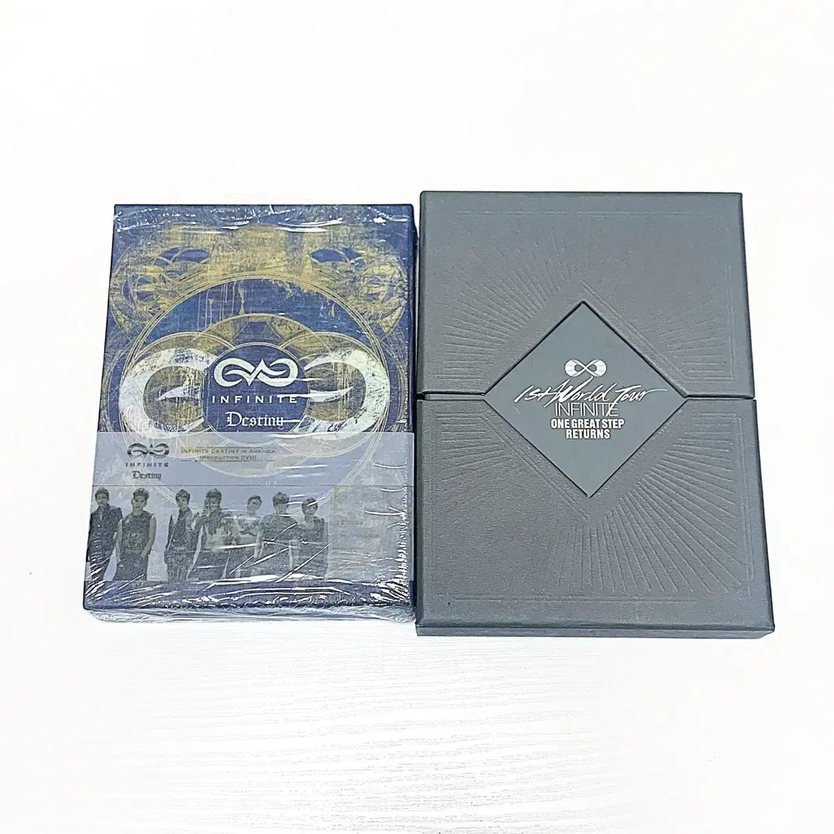 인피니트 콘서트 OGS/Destiny DVD