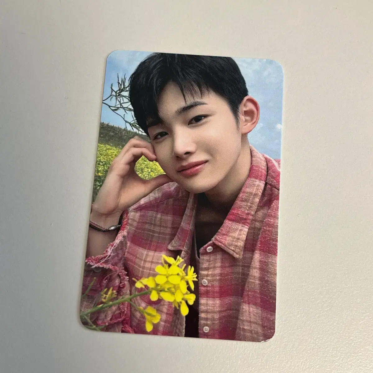 &team joe photocard dey Seoul Renee membership pre-order benefit photocard