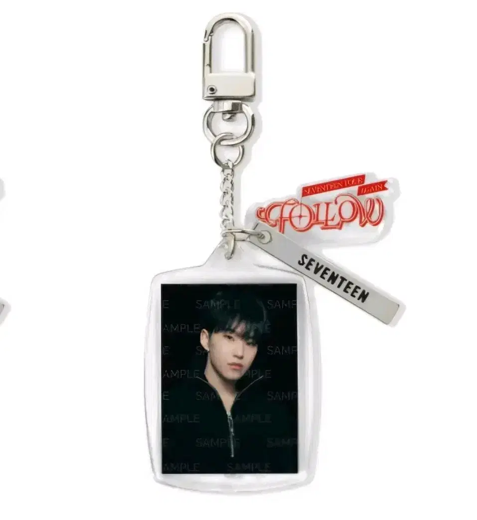 Seventeen hoshi keyring unsealed