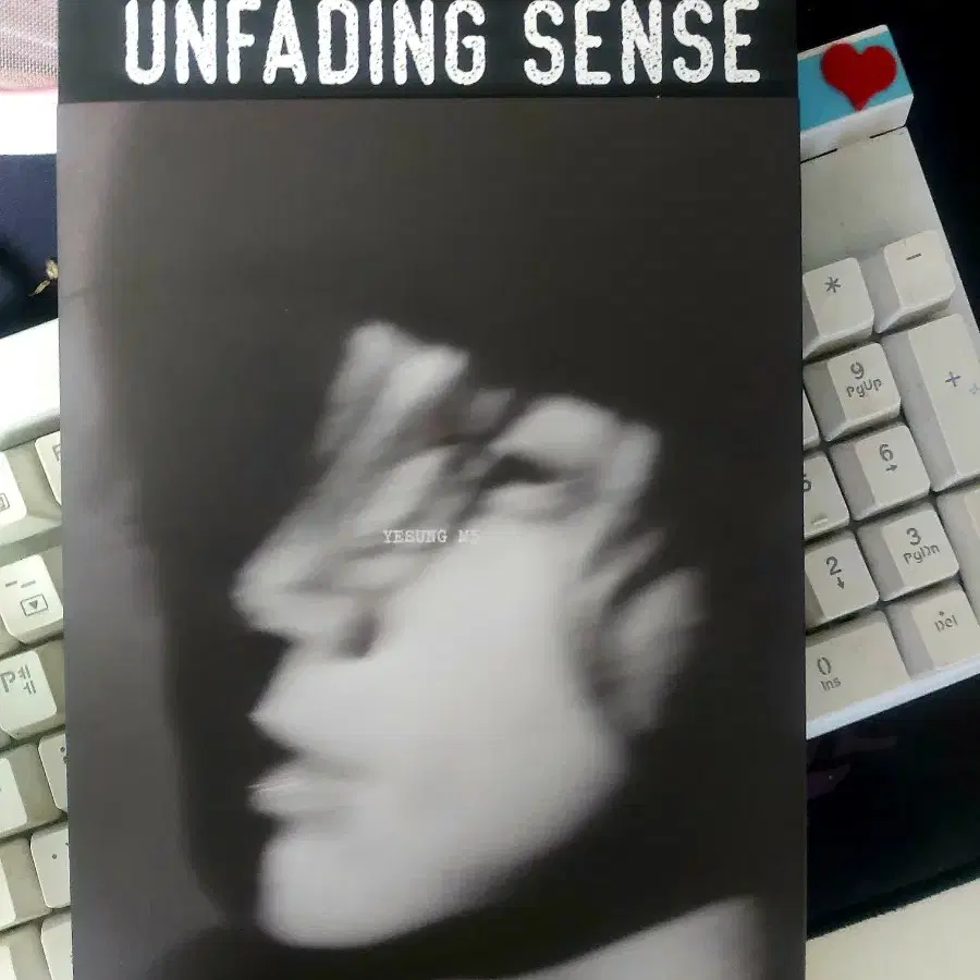 예성 unfading sense 앨범 (포카X)