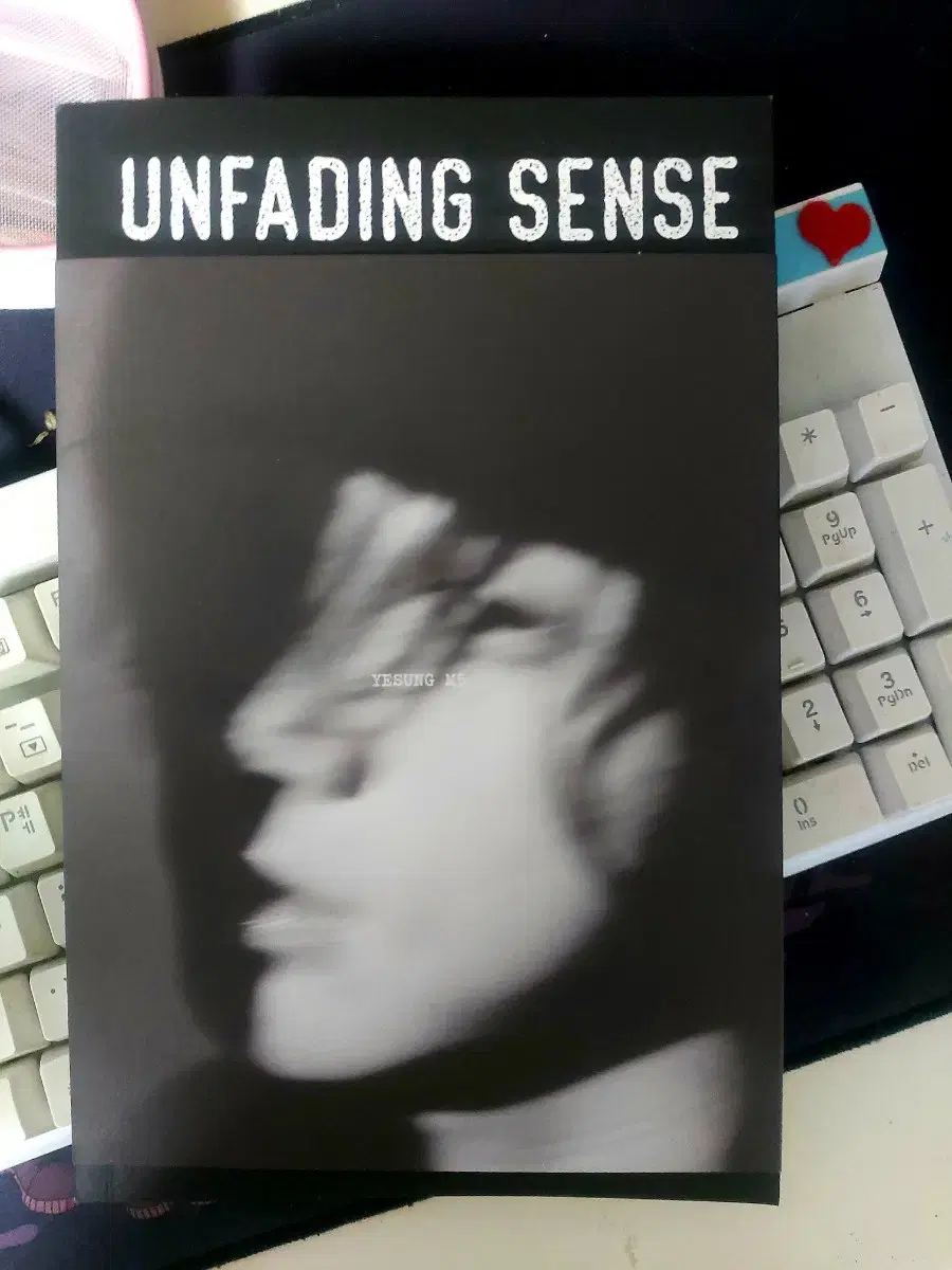 예성 unfading sense 앨범 (포카X)