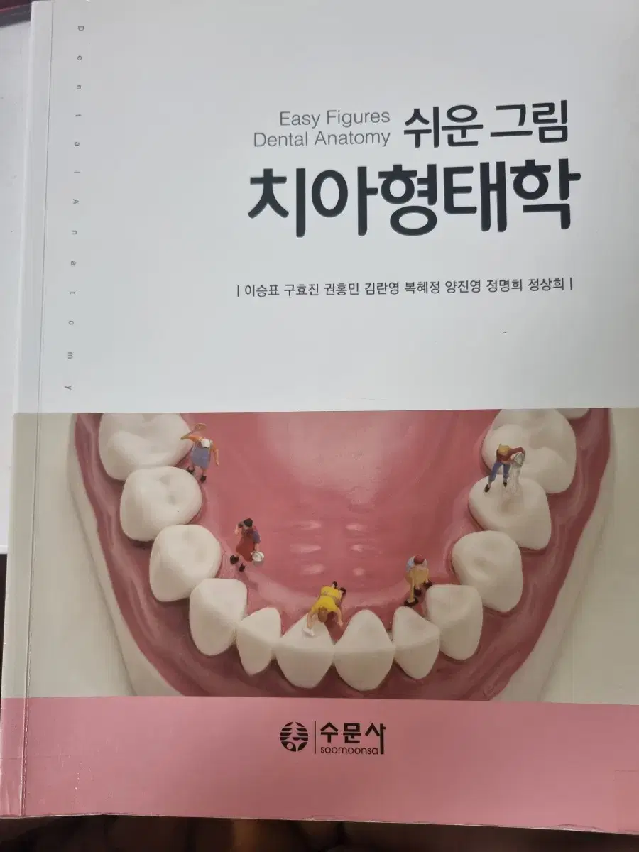 수문사 쉬운그림치아형태학 전공책