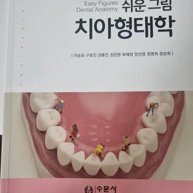 수문사 쉬운그림치아형태학 전공책