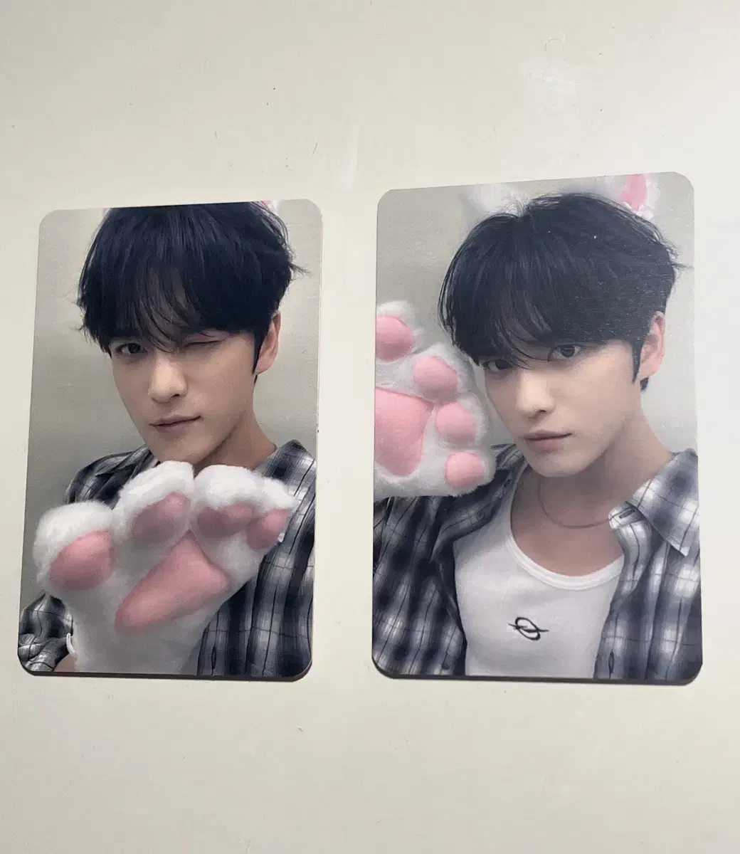 Bulk Kim Jaejoong CatPhotocard Kim JaejoongPhotocard Kim Jaejoong